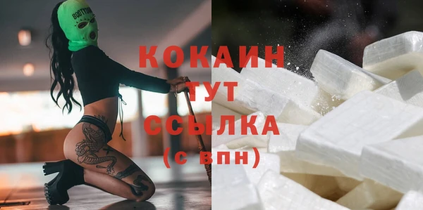тгк Алексин