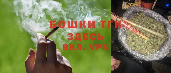 тгк Алексин
