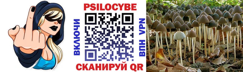 гидра ССЫЛКА  что такое наркотик  Звенигово  Псилоцибиновые грибы Psilocybe 